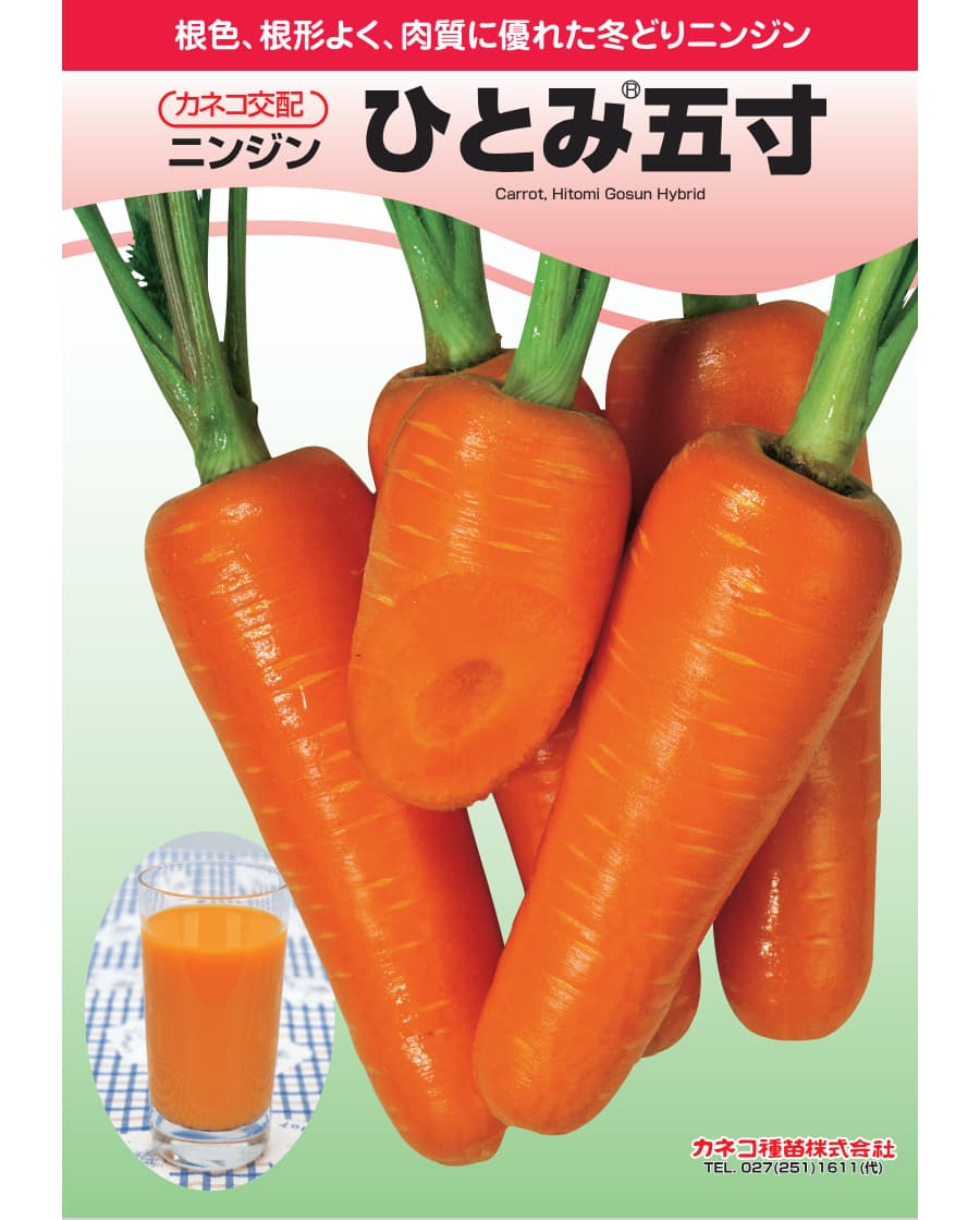 [送料無料](業務用・受注生産品)ニンジン種：ひとみ(R)5寸　20ml[野菜タネ]*（R）