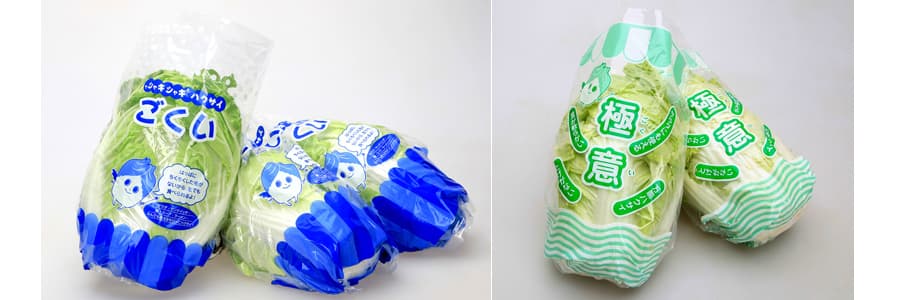 [送料無料](業務用・受注生産品)ハクサイ：極意　ペレット5千粒[野菜タネ]*（R）