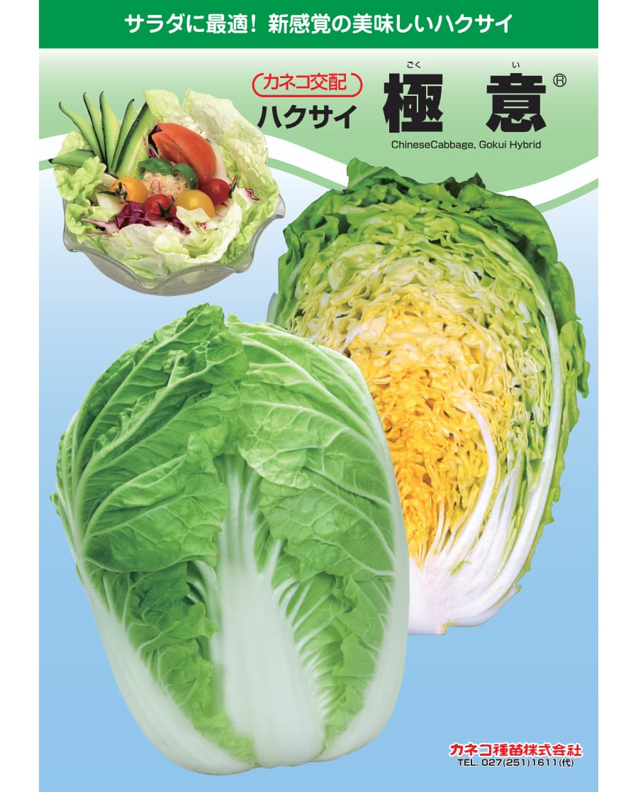 [送料無料](業務用・受注生産品)ハクサイ：極意　ペレット5千粒[野菜タネ]*（R）
