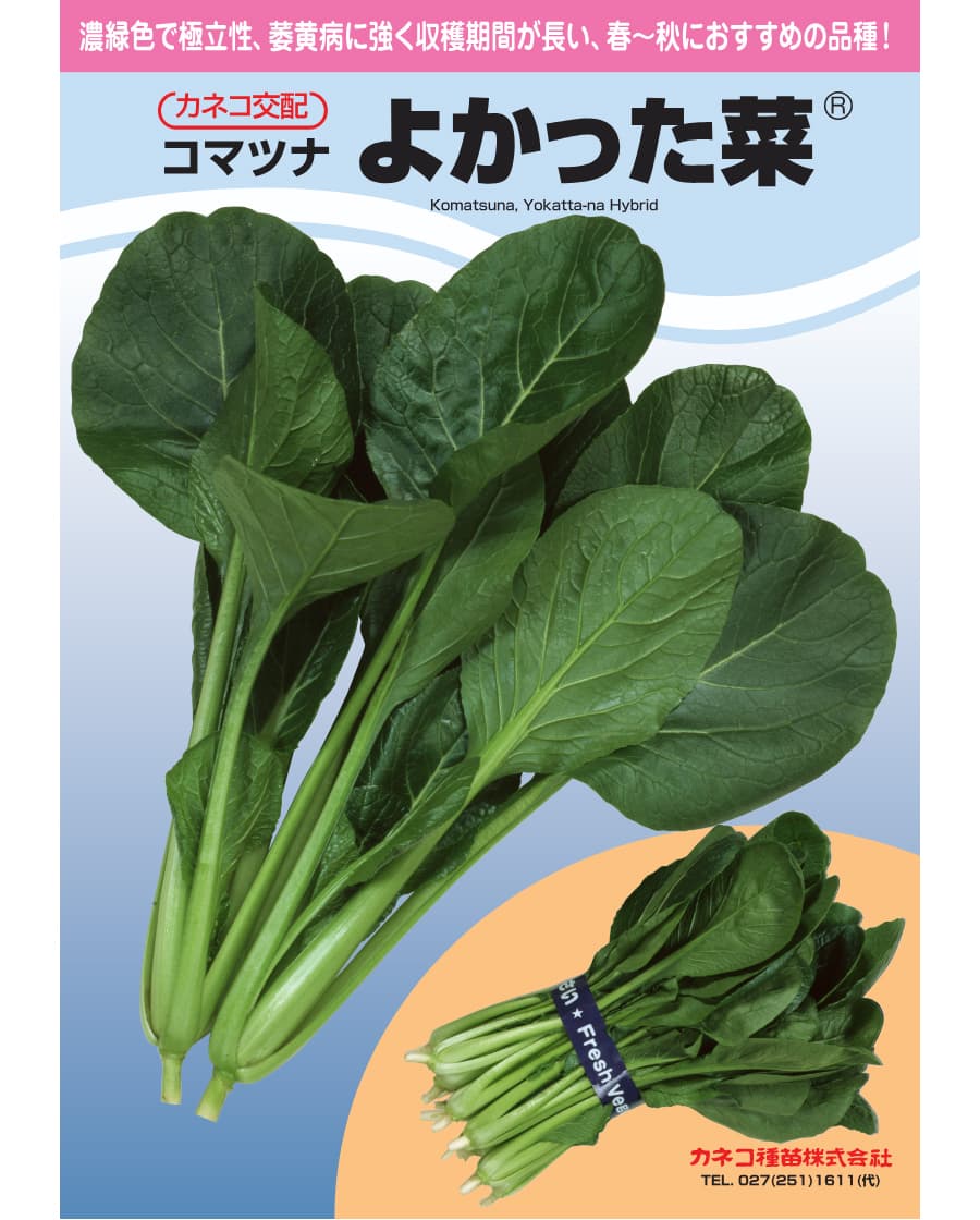 [送料無料](業務用・受注生産品)コマツナ（小松菜）種：よかった菜(R)１L[野菜タネ]*