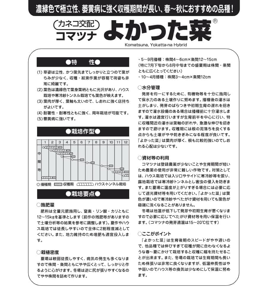 [送料無料](業務用・受注生産品)コマツナ（小松菜）種：よかった菜(R)１L[野菜タネ]*