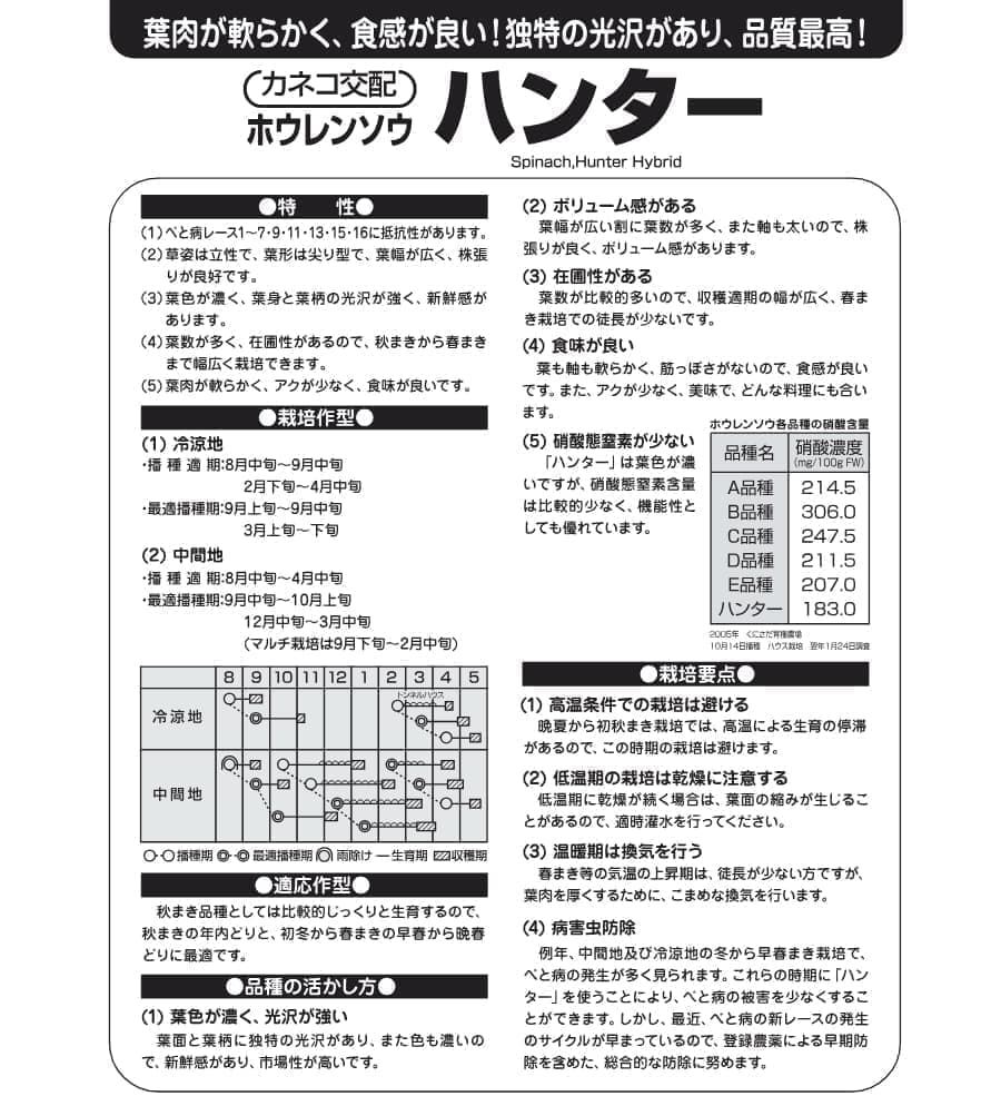 [送料無料](業務用・受注生産品)ホウレンソウ種：ハンター　プライミング処理M3万粒[野菜タネ]*