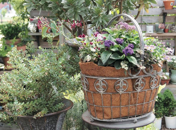 アイアンリリーバスケットS(6178)