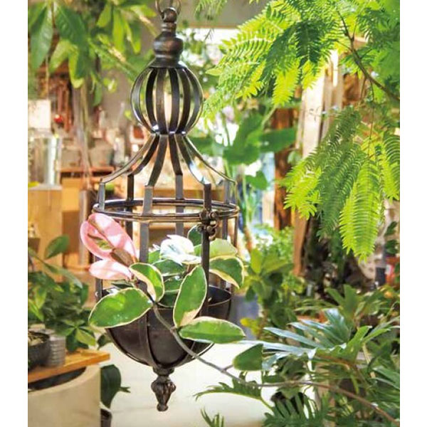 ハングフラワーランタンＳ（6553）