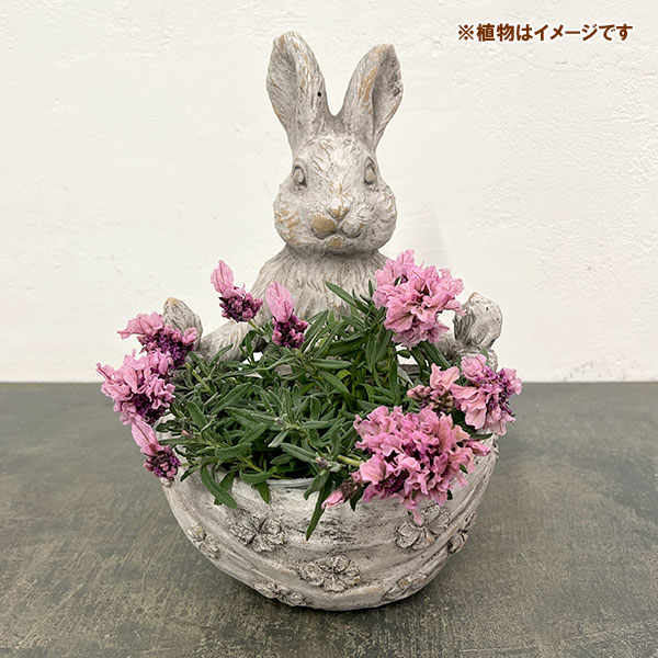 ラビットクロスポット(PR-04)