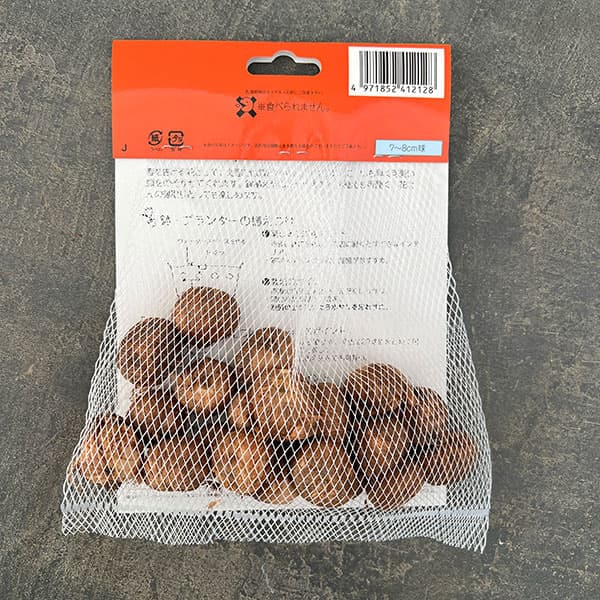 クロッカス:紫色20球入り(花壇用・ガーデンクロッカス)