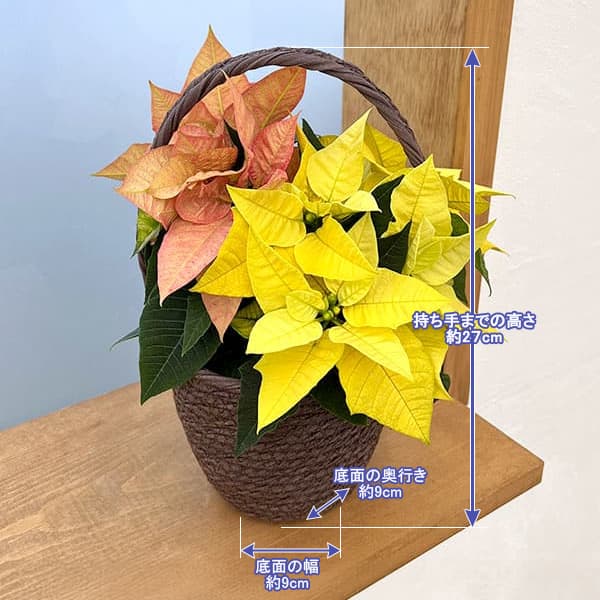 森ママ ひまわり花かご&ポインセチアかご 森ママ様専用 ひまわり花かご