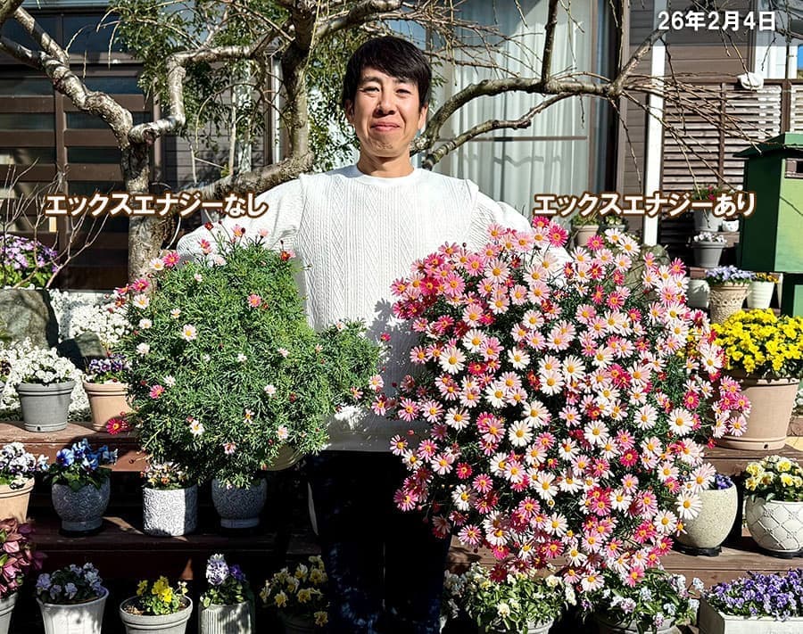 バイオスティミュラント活力液：X-ENERGY(エックスエナジー)つめかえ用1000ml入り