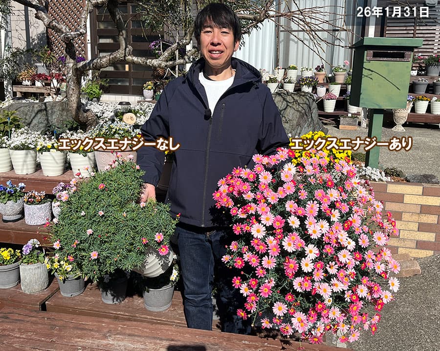 バイオスティミュラント活力液：X-ENERGY(エックスエナジー)つめかえ用1000ml入り