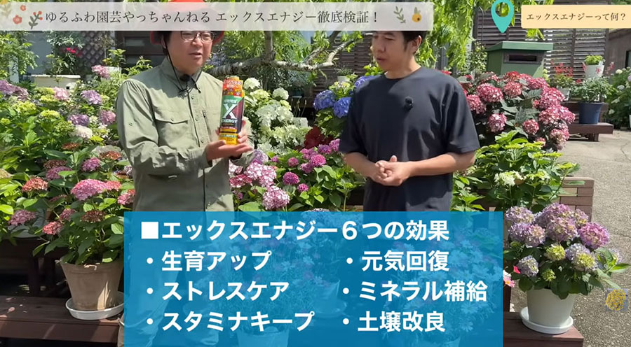 バイオスティミュラント活力液：X-ENERGY(エックスエナジー)つめかえ用1000ml入り