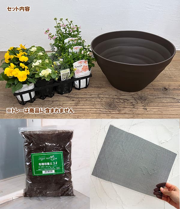 園芸ネット本店｜冬の寄せ植え鉢付きセット：イエロー・ピンク系4種×3