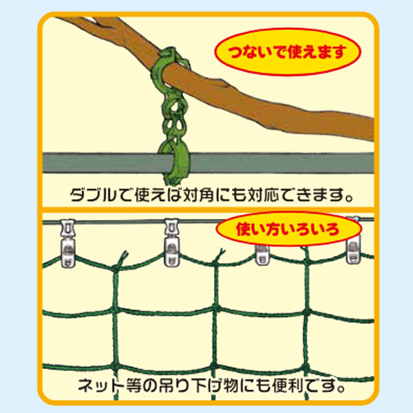 しちゅうキャッチ　２０（緑）24Ｐ