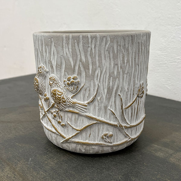 エルメバードS/直径15cm(SQ18)