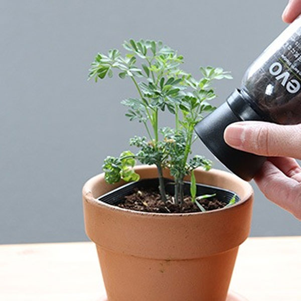 evo 植物が元気になる肥料 75g（2.6-5.9-3.0）（42275）