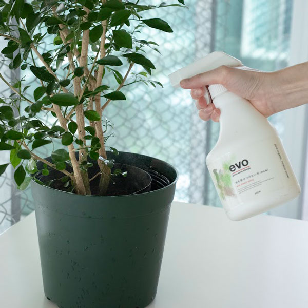 evo 虫を寄せ付けない水〈除虫菊〉 400ml（54085）