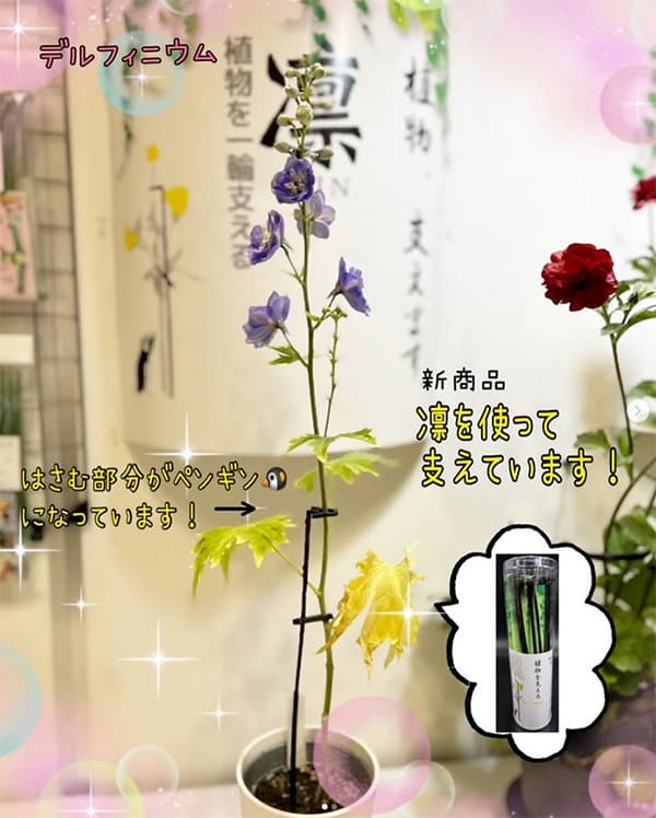 植物を一輪支える　凛／RIN-BK42