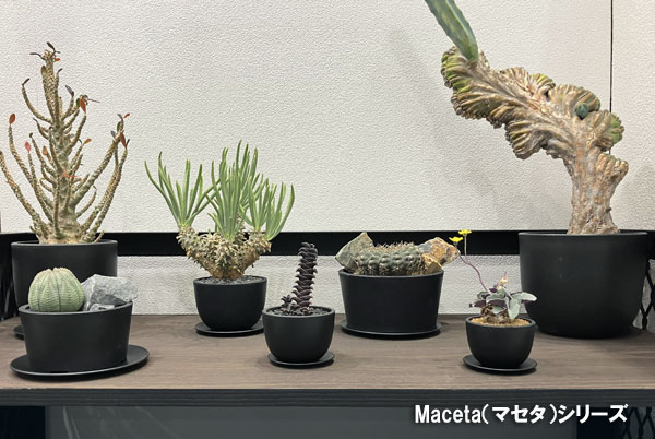 マセタ:プラスチックポット ボウルロング サイズ5(外径10.0×高さ8.9cm)