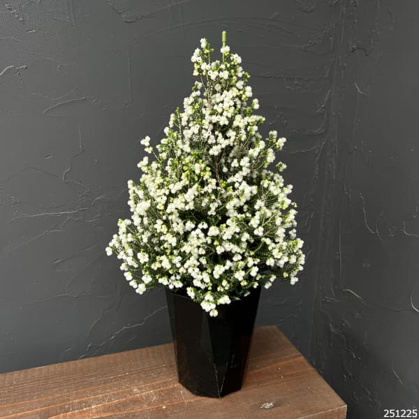 [ギフトに]クリスマスエリカ4号鉢植え