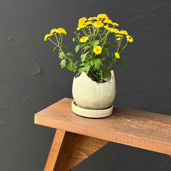 ソル：メロS　グレー4295（直径12cm）・皿付