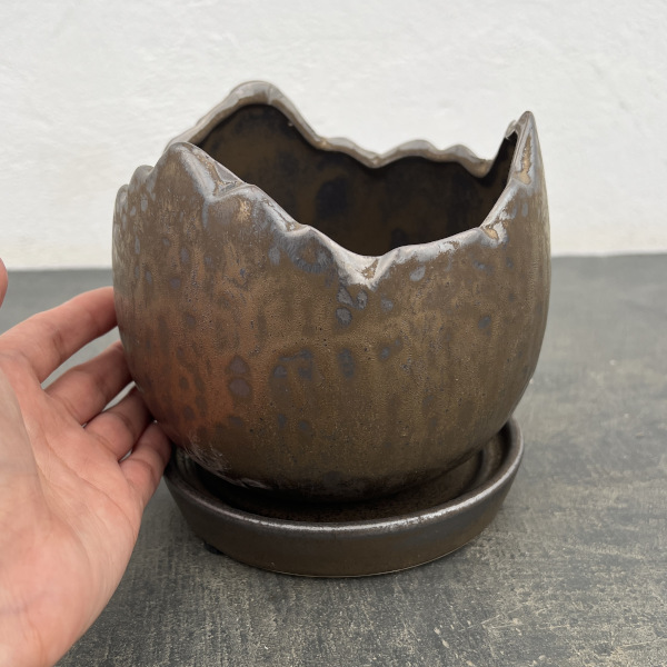ソル：メロM　ブロンズ4298（直径14.5cm）・皿付