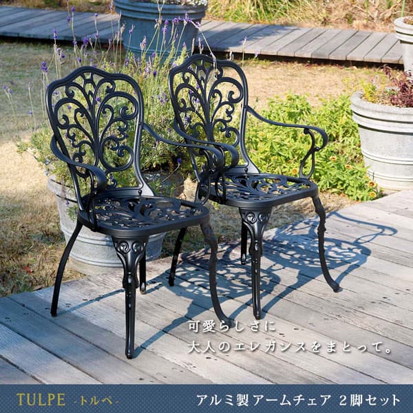 [送料無料]アルミ製アームチェア 2脚セット 「トルペ」 マットブラック（BKS-C5289-2P-BLK）