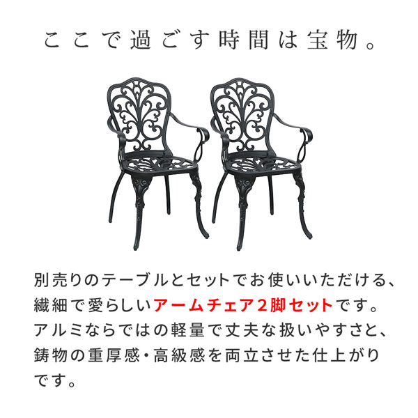 [送料無料]アルミ製アームチェア 2脚セット 「トルペ」 マットブラック（BKS-C5289-2P-BLK）