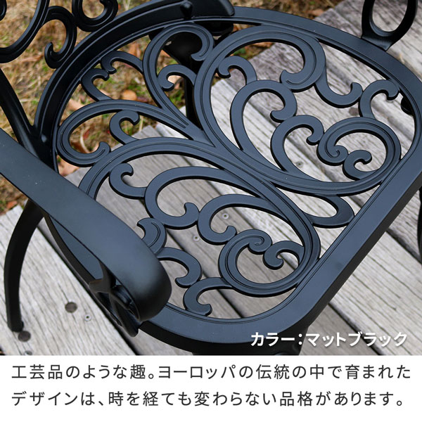 [送料無料]アルミ製アームチェア 2脚セット 「トルペ」 マットブラック（BKS-C5289-2P-BLK）