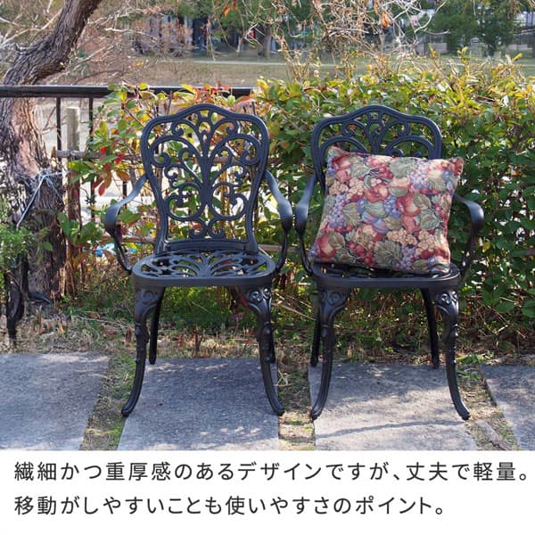 [送料無料]アルミ製アームチェア 2脚セット 「トルペ」 マットブラック（BKS-C5289-2P-BLK）