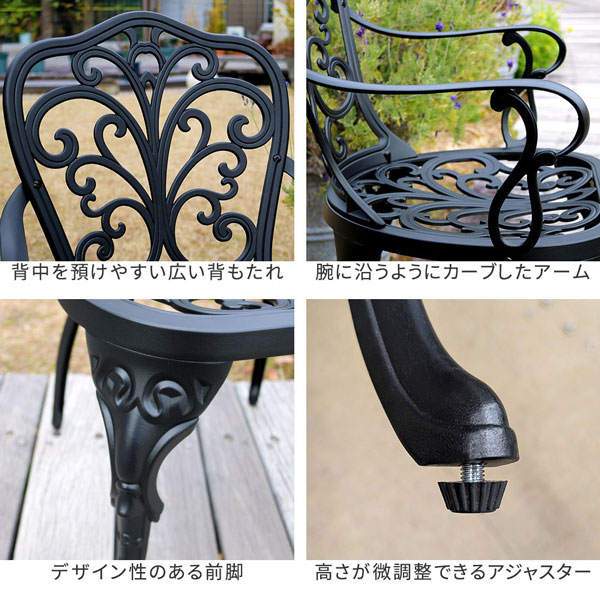 [送料無料]アルミ製アームチェア 2脚セット 「トルペ」 マットブラック（BKS-C5289-2P-BLK）