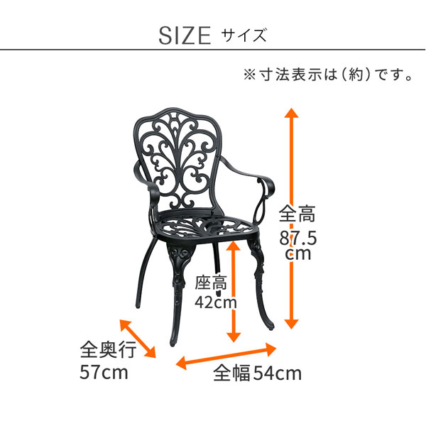 [送料無料]アルミ製アームチェア 2脚セット 「トルペ」 マットブラック（BKS-C5289-2P-BLK）