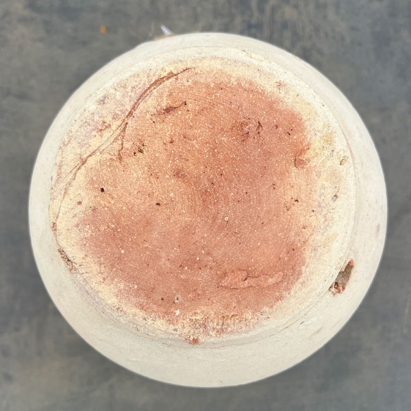 チュニジアン A（直径19.5cm、高さ26cm）15027