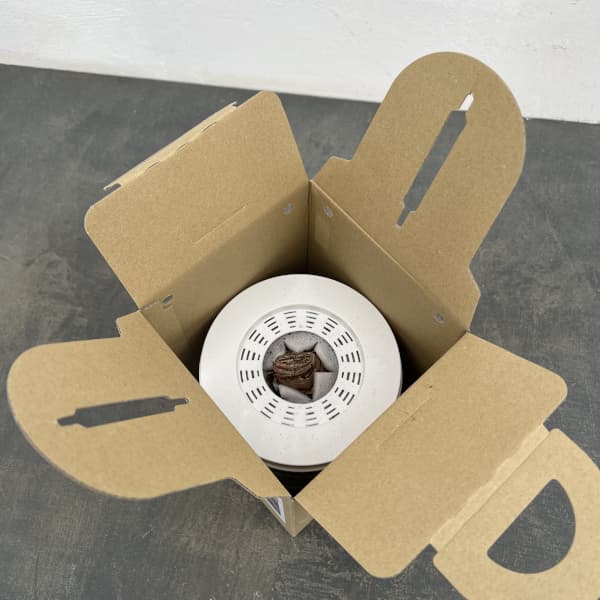 ポットアマリリス　リローナ（橙）鉢植え