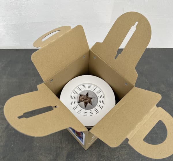 ポットアマリリス ピンクライバル(濃ピンク)鉢植え