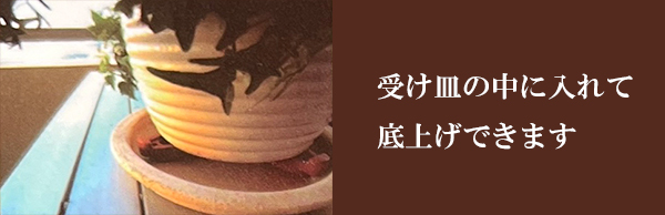 ポットアップ 12個組