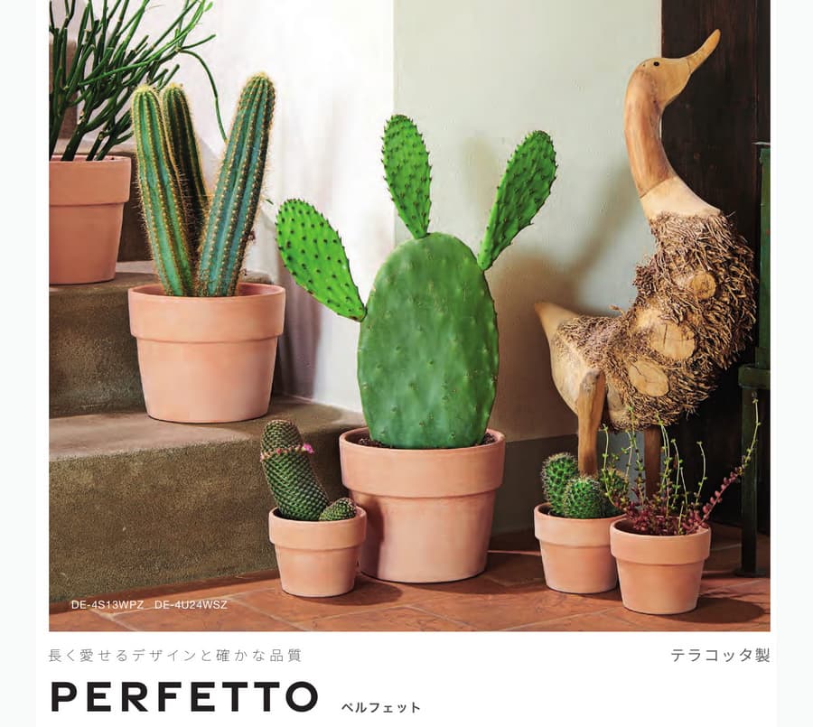 ペルフェット カプチーノ 29cm