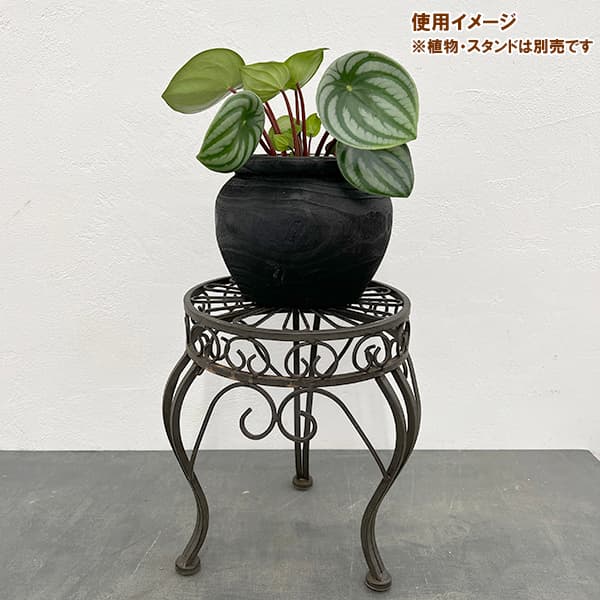 ナックス ジャーポット ブラック 15cm