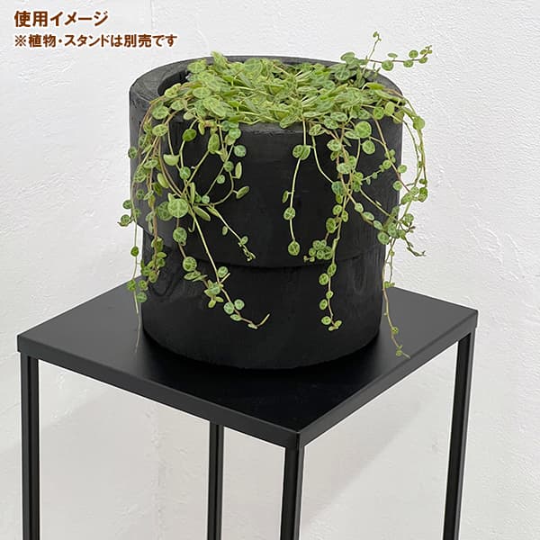ナックス シリンダーポット ブラック 15cm