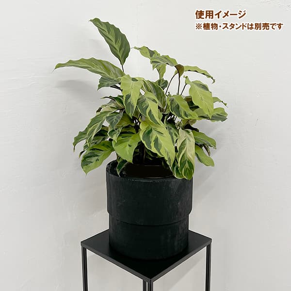 ナックス シリンダーポット ブラック 23cm