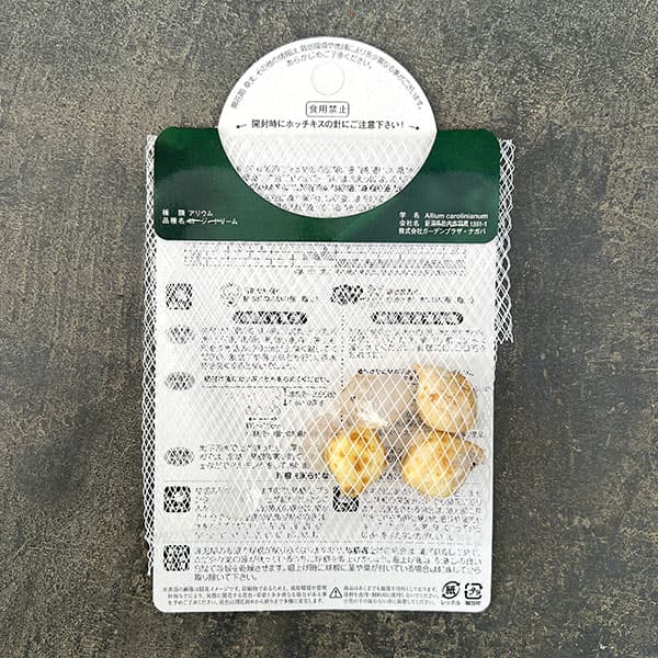 アリウム：ロージードリーム 3球入り