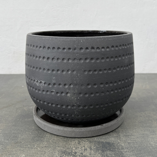 エスビューク シャロー ブラック 18cm・皿付