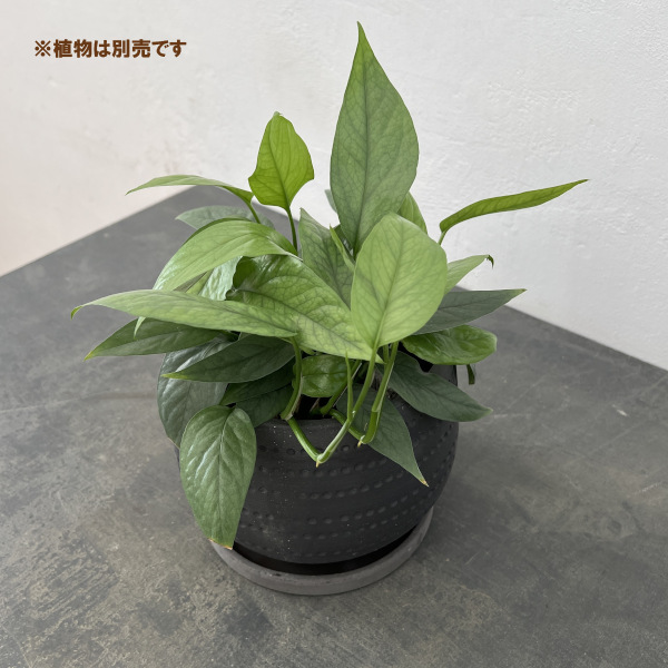 エスビューク シャロー ブラック 18cm・皿付