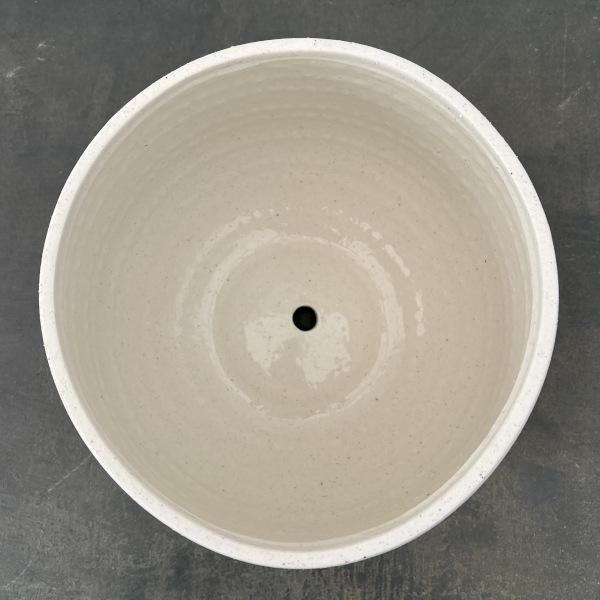 エスビューク シャロー ホワイト 23cm・皿付