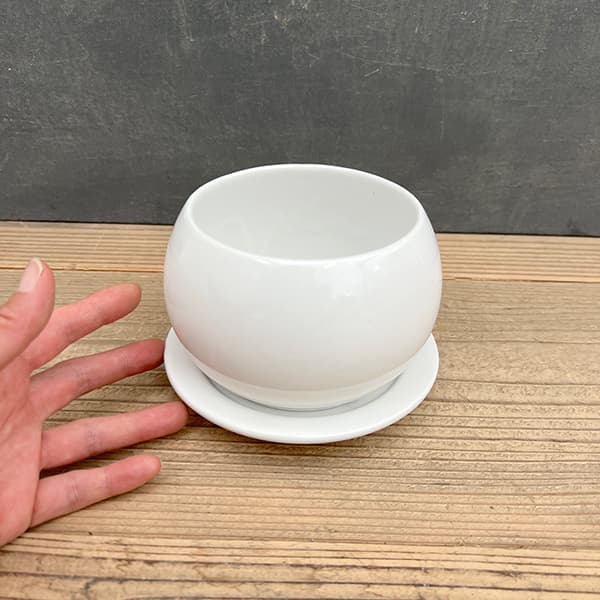 オスト シャローボール マットホワイト 13.5cm・皿付