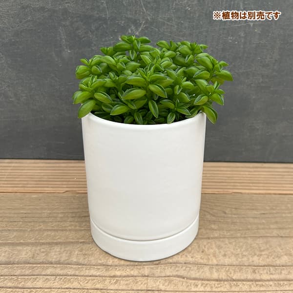 オスト シリンダー マットホワイト 10cm・皿付
