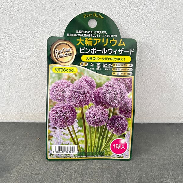 アリウム:ピンボールウィザード 1球入り