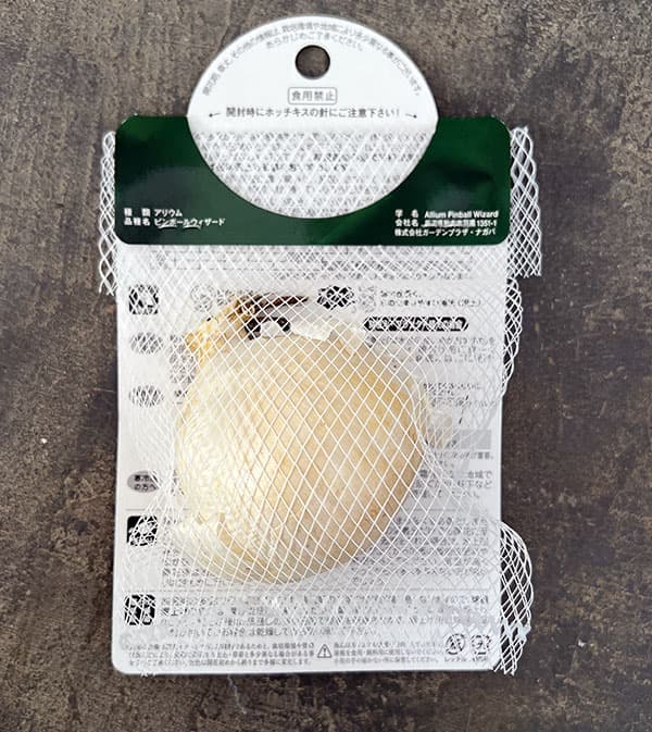 アリウム:ピンボールウィザード 1球入り