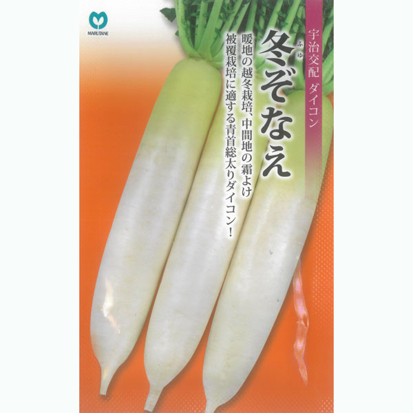 ダイコン（大根）：冬ぞなえ[野菜タネ]