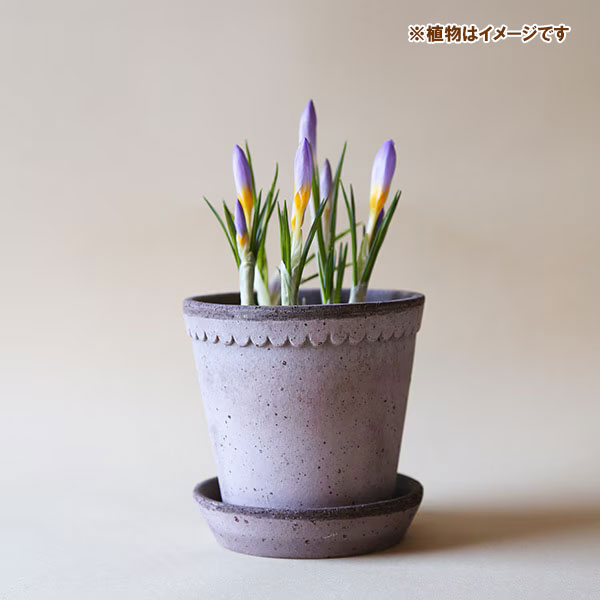 BERGS POTTER:ヘレナ18 グレー(直径16cm)45237