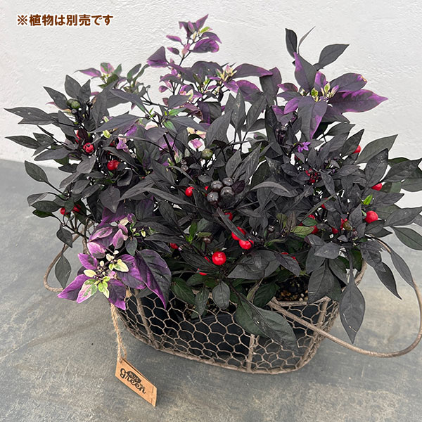 フラワーバスケット 63429　幅29×奥行20×高さ14.5cm