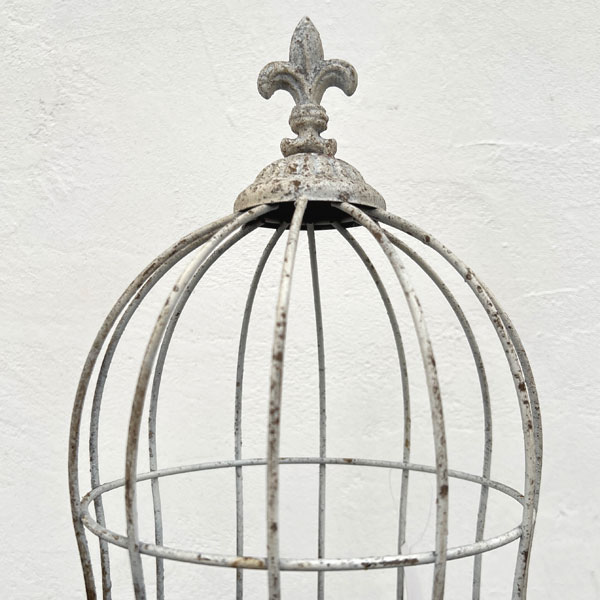 ロングラカージュピック W(UF595)/高さ51.5cm